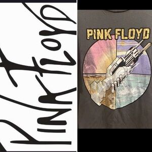 Pink Floyd Gender-Neutral Graphic T-Shirt  for Adults